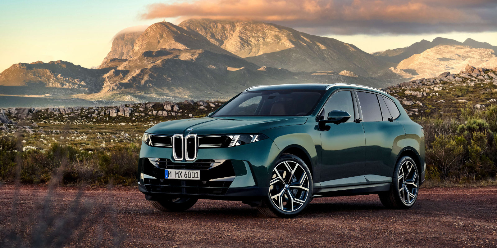 Темно-зеленый BMW iX